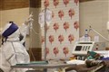 thum-8d5791b28c75dcda3d05-img_0994_425